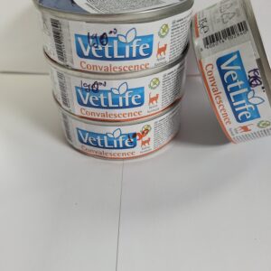 VetLife convalescence 85gr
